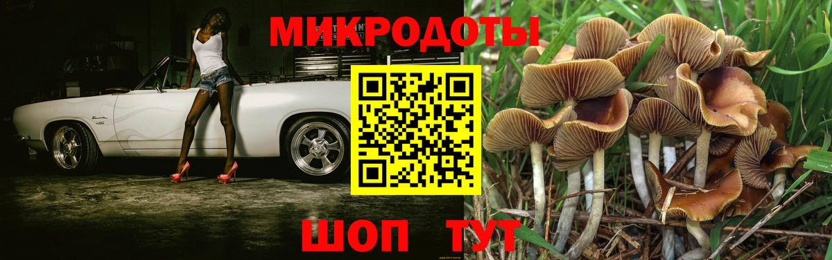 Галлюциногенные грибы GOLDEN TEACHER  Вход с VPN  Вышний Волочёк  Галлюциногенные грибы мицелий 